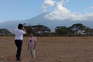 DAGSTUR AMBOSELI NASJONALPARK FRA NAIROBI BUDSJETT SAFARI