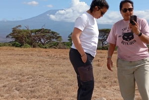 DAGSTUR AMBOSELI NASJONALPARK FRA NAIROBI BUDSJETT SAFARI