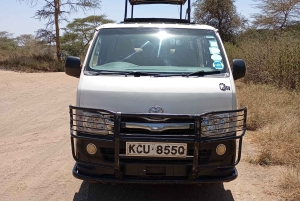 DAGSTUR AMBOSELI NASJONALPARK FRA NAIROBI BUDSJETT SAFARI