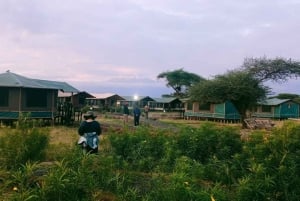 Escursione di un giorno al parco nazionale di amboseli da nairobi safari economici.