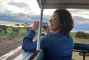 DAGSUTFLYKT AMBOSELI PARK SAFARI FRÅN NAIROBI OCH MASAI VILLAGE