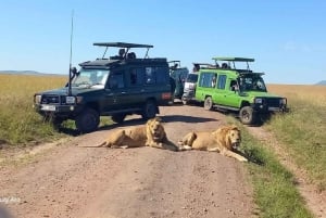 DAGSUTFLYKT AMBOSELI PARK SAFARI FRÅN NAIROBI OCH MASAI VILLAGE