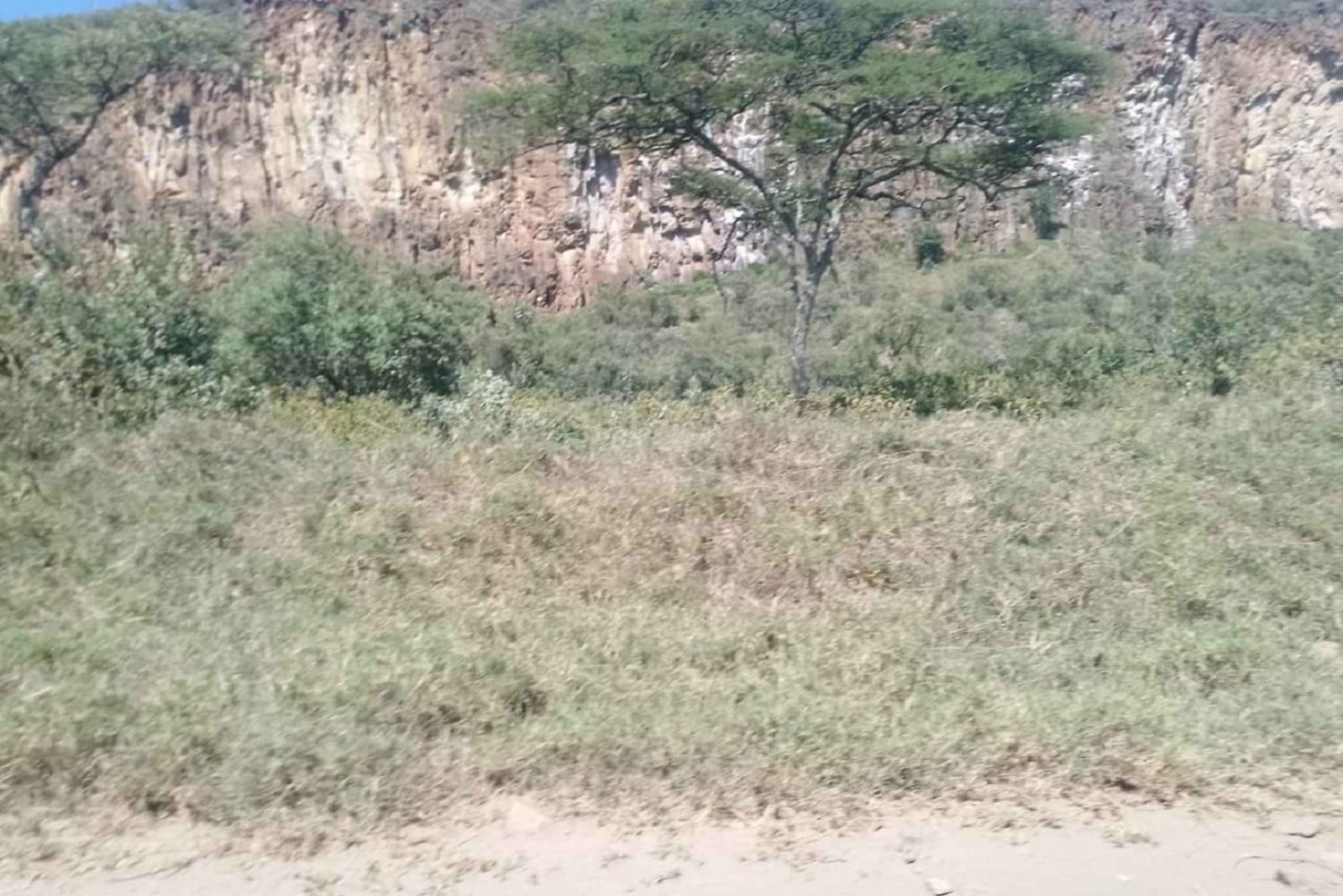 Day Trip: Hells Gate and optional Boat Ride at Lake Naivasha