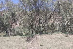 Day Trip: Hells Gate and optional Boat Ride at Lake Naivasha