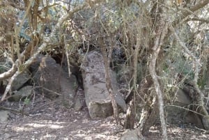 Day Trip: Hells Gate and optional Boat Ride at Lake Naivasha