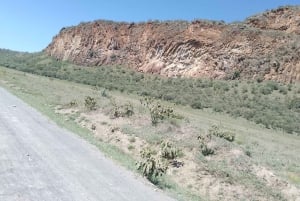 Day Trip: Hells Gate and optional Boat Ride at Lake Naivasha