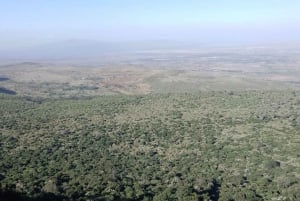 Day Trip: Hells Gate and optional Boat Ride at Lake Naivasha