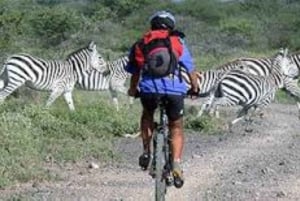 Tagestour Hells Gate und optionale Bootsfahrt am Naivashasee