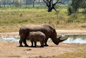 ナクル湖国立公園とナイバシャ湖への日帰りツアー