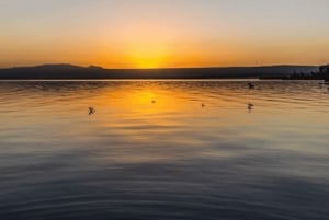 Excursion d'une journée : parc national du lac Nakuru et lac Naivasha