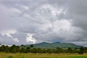 Excursion d'une journée : Randonnée au Mont Longonot et tour en bateau sur le lac Naivasha