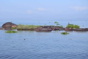 Excursion d'une journée : Randonnée au Mont Longonot et tour en bateau sur le lac Naivasha