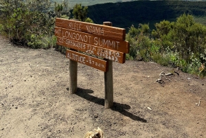 Wycieczka 1-dniowa: Wycieczka na górę Longonot i rejs łodzią po jeziorze Naivasha