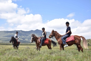 Wycieczka 1-dniowa: Wycieczka na górę Longonot i rejs łodzią po jeziorze Naivasha