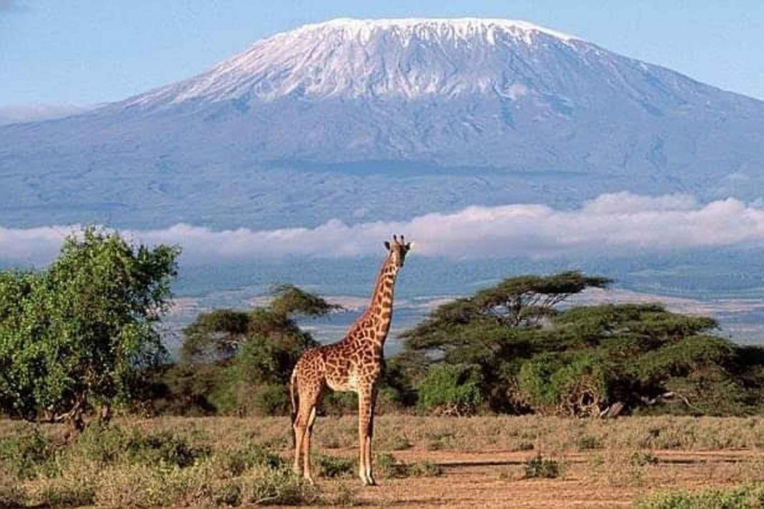 Päiväretki Amboselin kansallispuistoon Nairobista käsin
