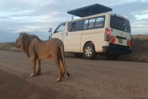 Day trip to Amboseli National park from Nairobi