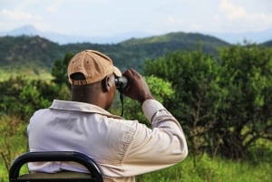 Tagestour zum Amboseli-Nationalpark von Nairobi aus