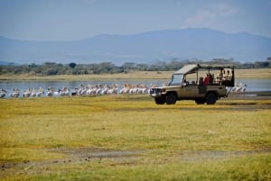 Excursión de un día a la Puerta del Infierno y al Lago Naivasha