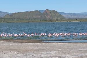 Dagsutflykt till Lake Elementaita & Lake Naivasha från Nairobi