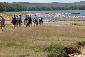 Dagsutflykt till Lake Elementaita & Lake Naivasha från Nairobi