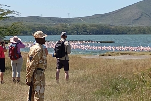 Dagsutflykt till Lake Elementaita & Lake Naivasha från Nairobi