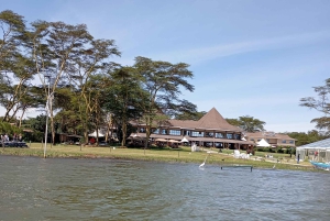 Dagsutflykt till Lake Elementaita & Lake Naivasha från Nairobi