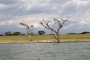 Dagsutflykt till Lake Elementaita & Lake Naivasha från Nairobi