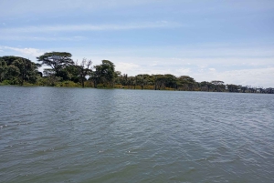 Dagsutflykt till Lake Elementaita & Lake Naivasha från Nairobi