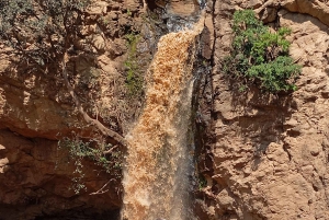 Dagsutflykt till Lake Elementaita & Lake Naivasha från Nairobi