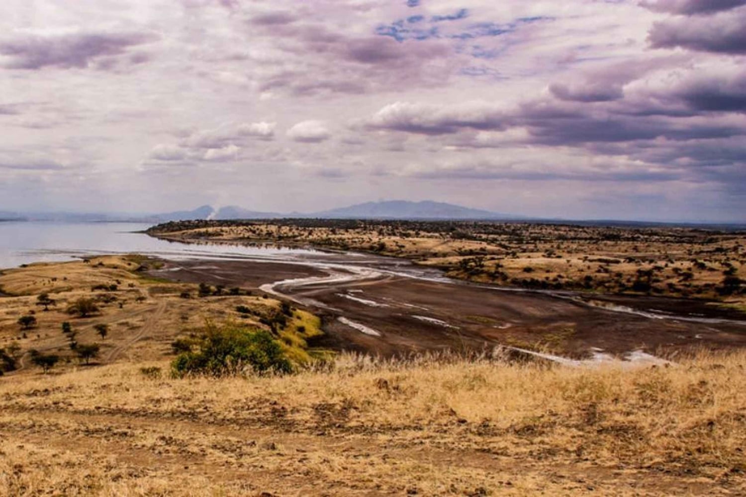 Wycieczka 1-dniowa nad jezioro Magadi z Nairobi