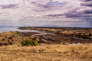 Wycieczka 1-dniowa nad jezioro Magadi z Nairobi