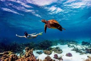 Day trip to Wasini islands from Diani