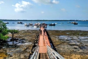 Day trip to Wasini islands from Diani