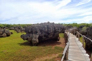 Day trip to Wasini islands from Diani