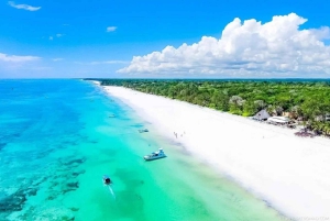 Day trip to Wasini islands from Diani
