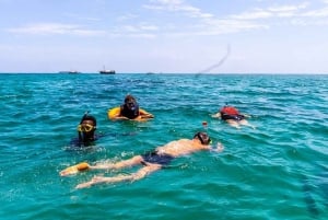 Day trip to Wasini islands from Diani