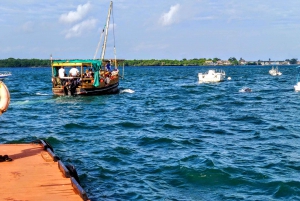 Dhow Sailing Tour of Kisite Marine Park & Wasini Island