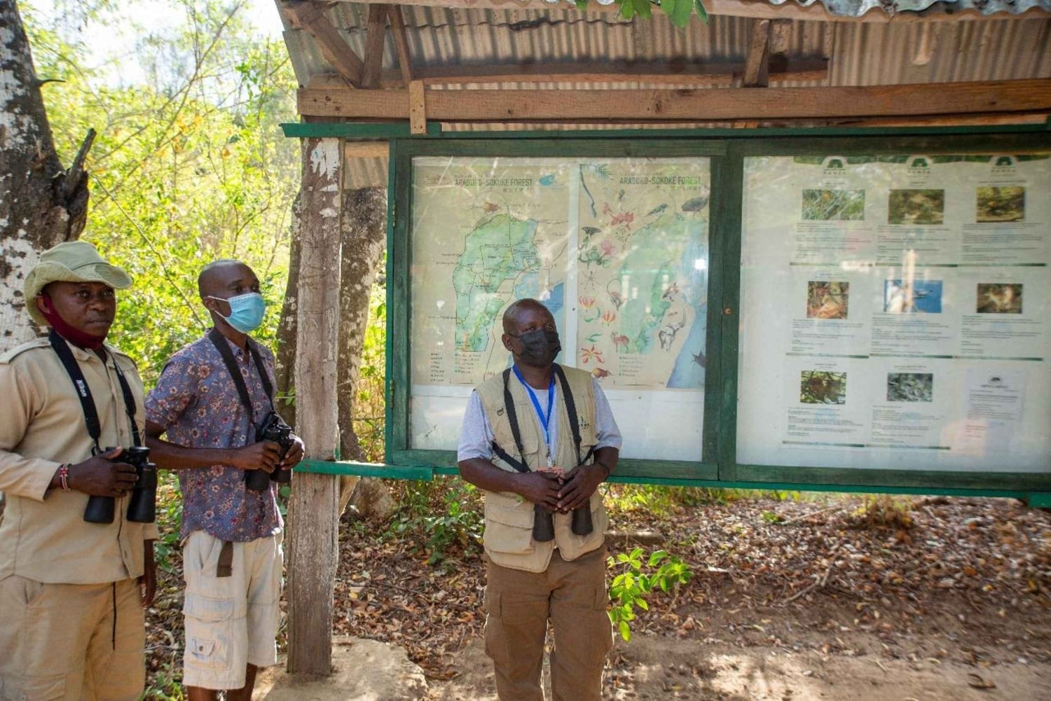 Diani: 3 dage i Arabuko Sokoke-skoven og Tsavo East Safari