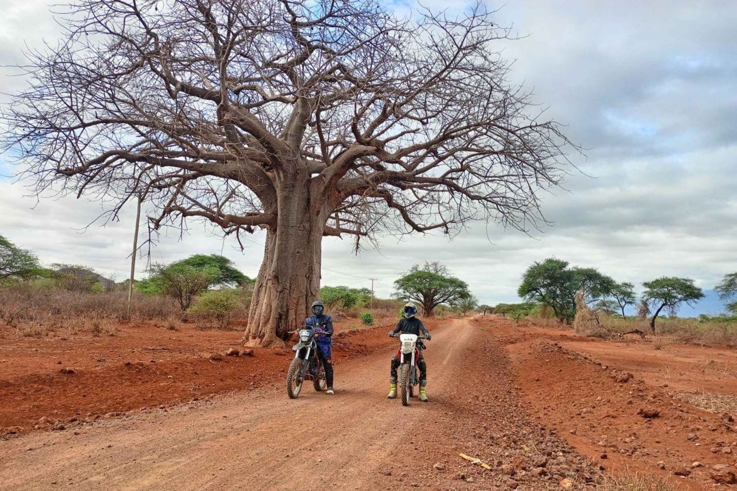 Diani: 3 dias de passeio de moto todo-o-terreno, Rukinga Conservancy com caminhada