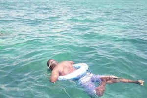 Playa de Diani: Crucero de 2 horas en barco con fondo de cristal