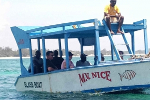 Praia de Diani: Cruzeiro de 2 horas em um barco com fundo de vidro