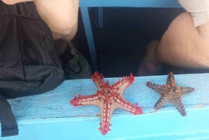 Diani Beach: 2-timers krydstogt i glasbundsbåd