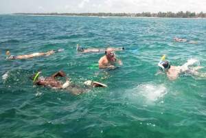 Diani Beach: 2-timmars kryssning med glasbottenbåt