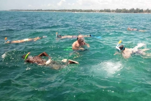 Diani Beach: Glass-Bottom Boat Cruise to Robinson Island