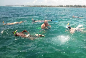 Diani Beach: 2-timers båtcruise med glassbunn