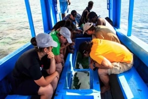 Diani Beach: 2-Hours Glass Bottom Boat cruise