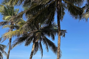 Diani Beach: African Pool Guided Tour with Snorkeling