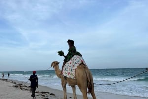 DIANI: KAMELRITT AM STRAND