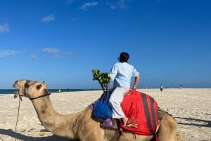DIANI: KAMELRITT AM STRAND