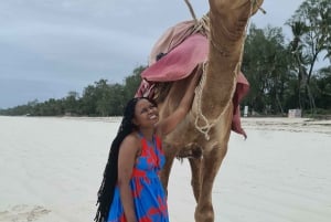 DIANI: KAMELRITT AM STRAND